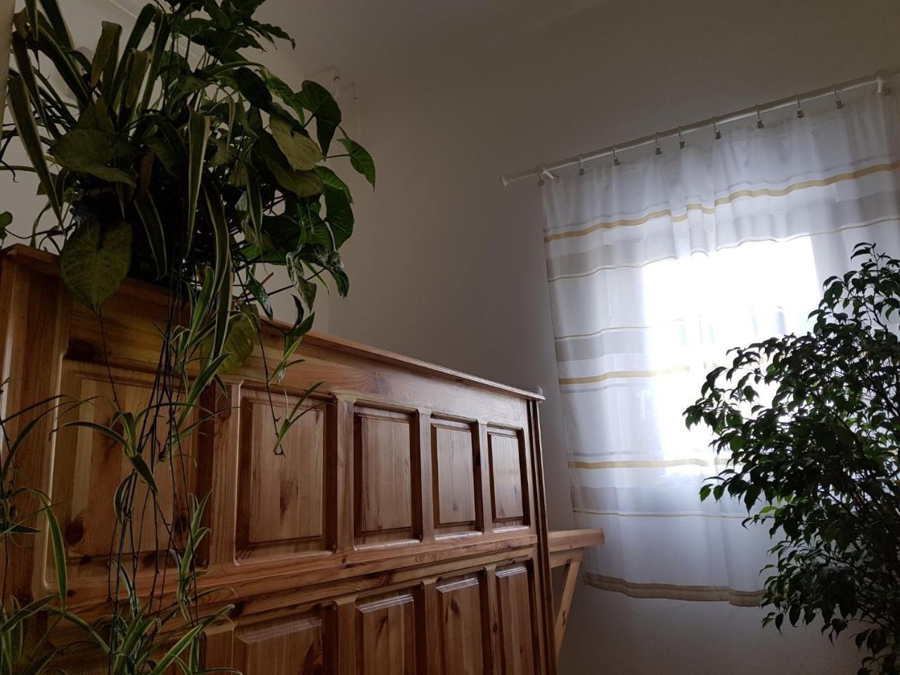Bed and Breakfast Matyas Panzio Szegedin Exterior foto